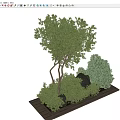Elegant Bonsai Plant Arrangement with Curved Tree Green Shrubs and Black Rocks on Wooden Base