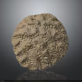 Detailed View Of Sea Urchin Shell With Circular Shape Complex Texture Light Brown Color