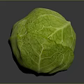 Fresh Green Cabbage with Crisp Textured Leaves on Dark Reflective Surface 3d model