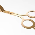 Golden Metal Scissors With Minimalist Design And Circular Handles