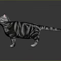 Gray Striped Cat With White Belly Green Eyes And Pink Ears Standing On Smooth Background