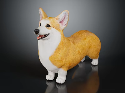Yellow And White Corgi Dog Standing On Black Background With Adorable Cute Look 3d model