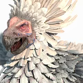 Mythical Bird With Crested Head Detailed Plumage And Elongated Feathery Wings
