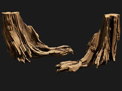 Stone Wood Decorative Tree Stumps With Natural Texture And Organic Shape 3d model