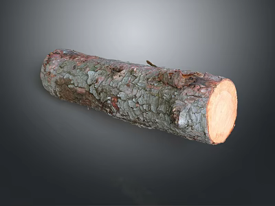 Natural Wood Log With Textured Bark And Smooth Cut Surface 3d model