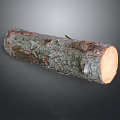 Natural Wood Log With Textured Bark And Smooth Cut Surface 3d model