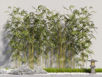 Tall Bamboo Plants In Garden Setting With Stones Grass And Stone Lantern 3d model