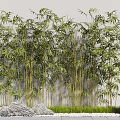 Tall Bamboo Plants In Garden Setting With Stones Grass And Stone Lantern