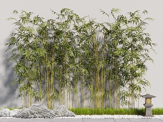 New Chinese Bamboo 3d model