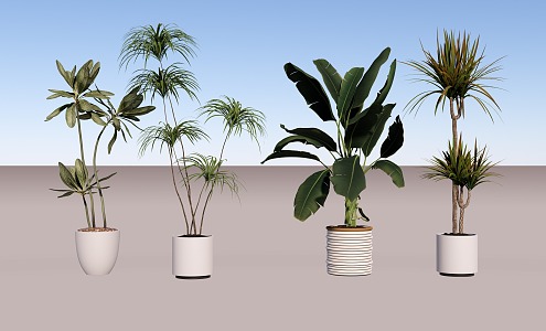 Green plant combination potted plant combination 3d model