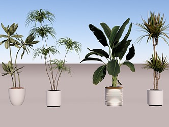 Green plant combination potted plant combination 3d model