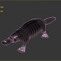 Realistic Platypus 3D Model With Black Body Pink Belly Duck Bill Webbed Feet And Tail
