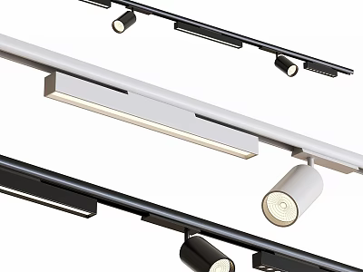 Modern Track Mounted Downlights And Spotlights With Sleek Black White Design For Home Lighting 3d model