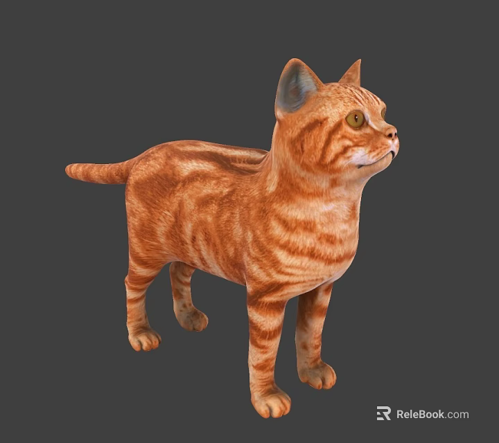 Orange Tabby Cat Standing in Detailed 3D Model with Realistic Fur Texture 3d model 