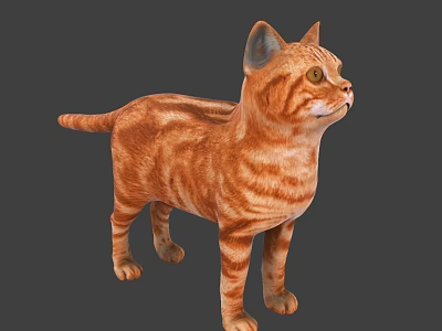 Orange Tabby Cat Standing in Detailed 3D Model with Realistic Fur Texture 3d model