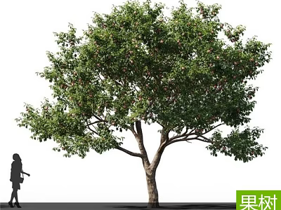 Fruit Tree With Lush Green Foliage And Fruits Beside Human Silhouette 3d model