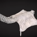 Siberian Flying Squirrel with Gray Brown Fur and Gliding Membrane in Coniferous Forests