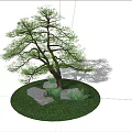 Lush Green Arbor with Stones and Small Plants in Circular Grass Lawn
