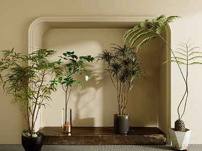 Indoor Bonsai Potted Plants On Arched Shelf With Beige Wall And Greenery 3d model