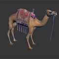 Adorned Camel With Ornate Colorful Decorative Blanket And Yellow Rope