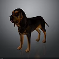 Detailed Hand Carved Dog Sculpture With Realistic Brown And Orange Color Finish