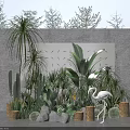 Various Potted Plants With Cactus Palm Banana Leaf Flamingo Decoration Woven Pots And Stones