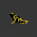 Yellow And Black Spotted Frog Character As 3D Model With Reflective Surface 3d model