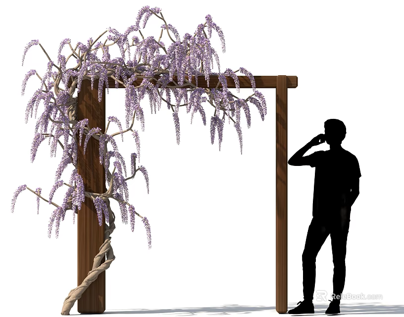 Silhouette of Person by Wooden Archway Adorned With Purple Flowering Tree 3d model 
