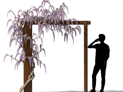 Silhouette of Person by Wooden Archway Adorned With Purple Flowering Tree 3d model