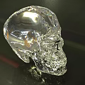 Transparent Crystal Skull Sculpture With Shiny Smooth Surface On Reflective Background