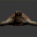 Colorful Sea Turtle with Red and Orange Shell Pattern Head and Limbs on Dark Background 3d model