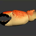 Orange Crab Claw With Black Tips And Red Spots On Gray Background With Reflection 3d model