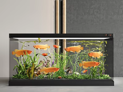 Stylish Aquarium Fish Tank Setup With Colorful Fish Green Aquatic Plants And Decorative Elements 3d model