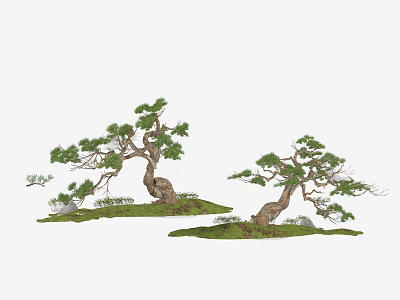 Artistic Bonsai Trees With Twisted Trunks Green Foliage And Rocky Grass Base 3d model