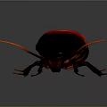 Red and Black Cockroach With Orange Stripes And Long Antennae On Gray Background