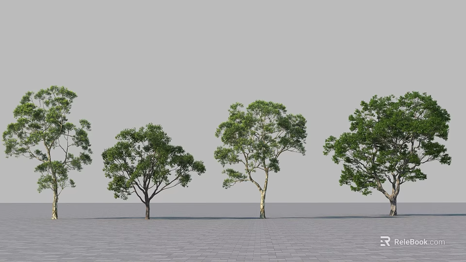 Multiple Arbor Specimens With Green Foliage On Gray Paved Ground And Sky 3d model
