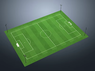 Sports Stadium Football Field With Green Grass White Lines And Light Poles 3d model