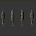 Catfish Carp Sturgeon Bass Freshwater Fish Various Carp Grass Carp Crucian Carp 3d model