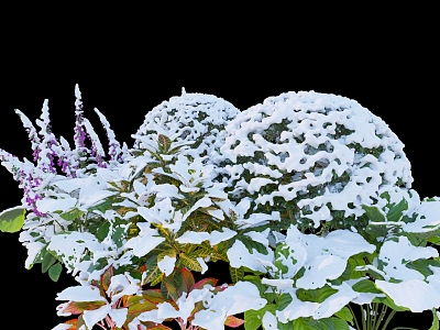 winter shrubs snow shrubs snow shrubs ball snowfall grass snow 3d model