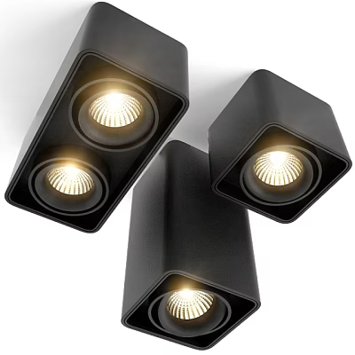 Sleek Modern Black Ceiling Mounted Downlights And Spotlights With LED Bright Lighting 3d model