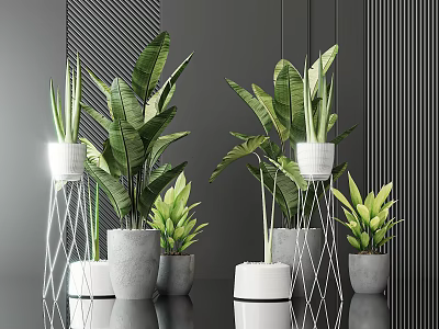 Decorative Indoor Potted Plants With Green Leaves In Various Ceramic Pots And Metal Stands 3d model