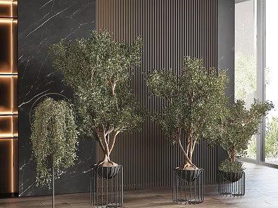 Modern Luxury Bonsai Plants On Black Metal Stands With Dark Striped Walls And Marble Texture 3d model