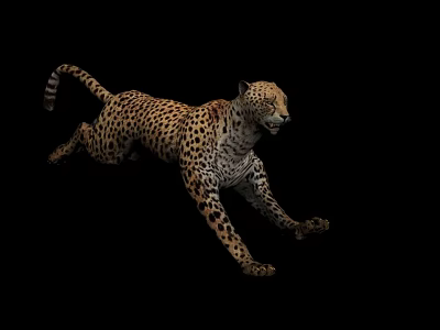 Secure Metal Storage Lockers With Adjustable Compartments For Office Use 3d model