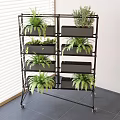 Potted Plants On Multi Tiered Stand With Wheels By Window Indoor Garden