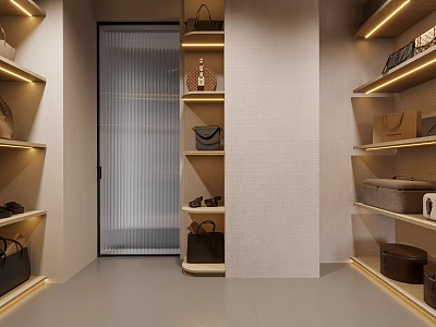 Modern Walk-in Closet Interior Design With Side Shelves Bags Shoes Storage Boxes And Lighting Strips 3d model