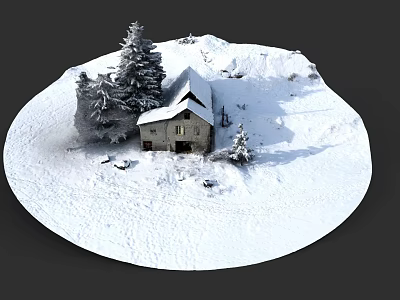 Snow Covered Detached Villa Surrounded By Pine Trees In Winter Scenery 3d model
