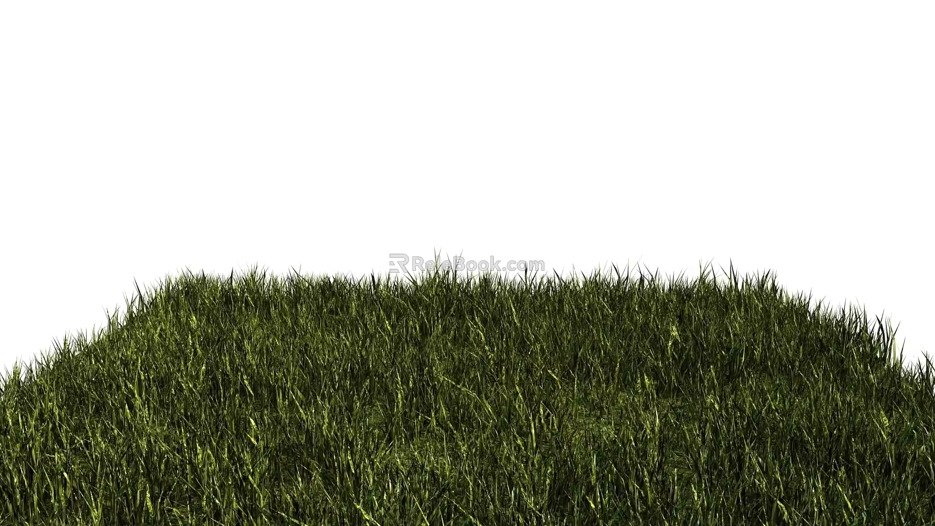 Plant Greening Grass Green Space Lawn Grass Ground Green Space Grass can be copied into a large grassland 3d model