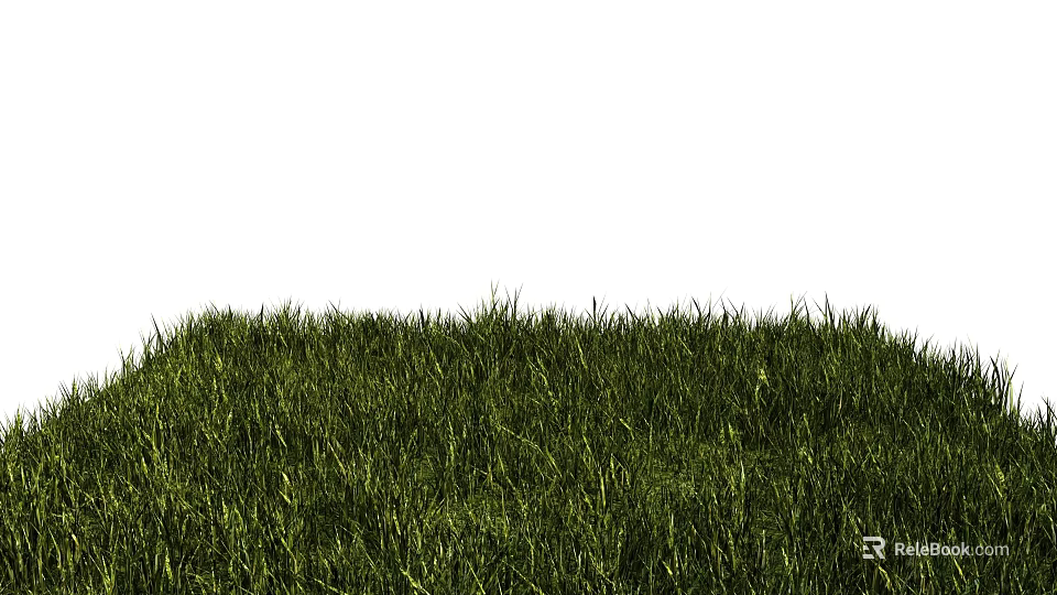 Lush Green Grass Lawn With Vibrant Natural Texture For Outdoor Background Design 3d model 