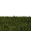 Plant Greening Grass Green Space Lawn Grass Ground Green Space Grass can be copied into a large grassland 3d model