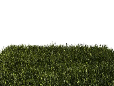 Lush Green Grass Lawn With Vibrant Natural Texture For Outdoor Background Design 3d model